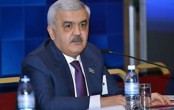 Rövnəq Abdullayev mötəbər qurumun İcraiyyə Komitəsinə üzv seçildi