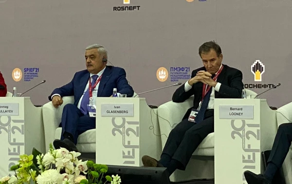 Президент SOCAR выступил на Петербургском международном экономическом форуме - ФОТО