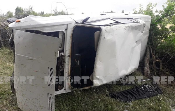 Avtomobillər qoyun sürüsünə girib, heyvanlar tələf olub - FOTO