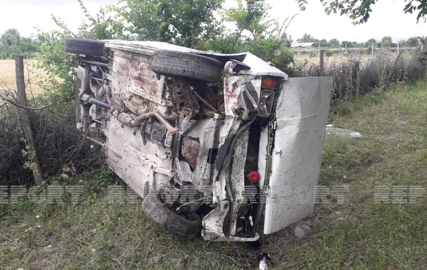Avtomobillər qoyun sürüsünə girib, heyvanlar tələf olub - FOTO