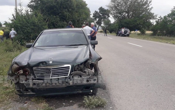 Avtomobillər qoyun sürüsünə girib, heyvanlar tələf olub - FOTO