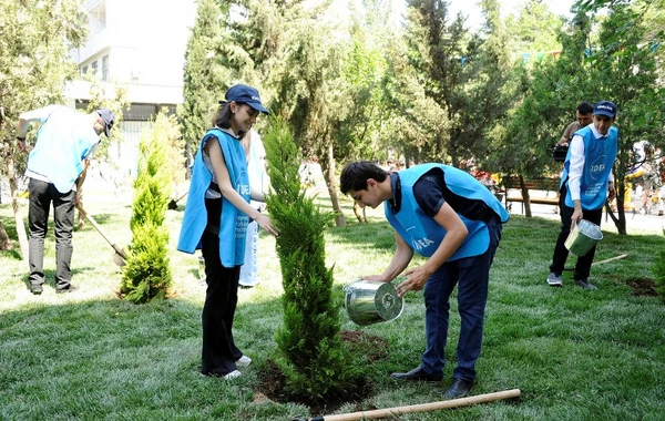 Bakı sakinlərinin nəzərinə - Həyətinizin abadlaşdırılması üçün müraciət edə bilərsiniz - FOTO