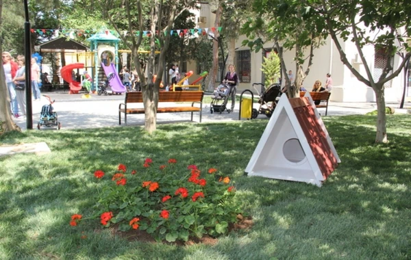 Bakı sakinlərinin nəzərinə - Həyətinizin abadlaşdırılması üçün müraciət edə bilərsiniz - FOTO