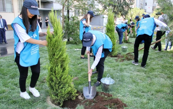 Bakı sakinlərinin nəzərinə - Həyətinizin abadlaşdırılması üçün müraciət edə bilərsiniz - FOTO