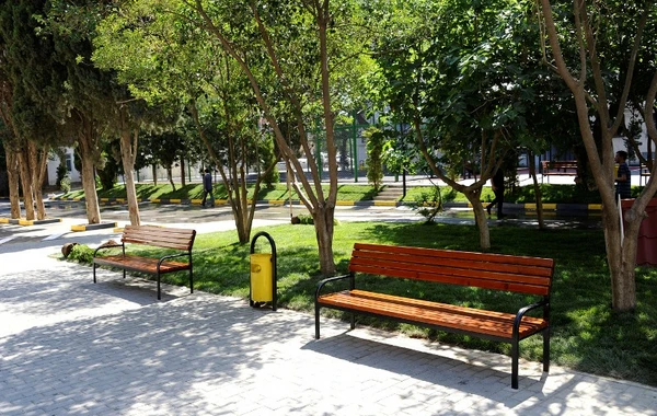 Bakı sakinlərinin nəzərinə - Həyətinizin abadlaşdırılması üçün müraciət edə bilərsiniz - FOTO