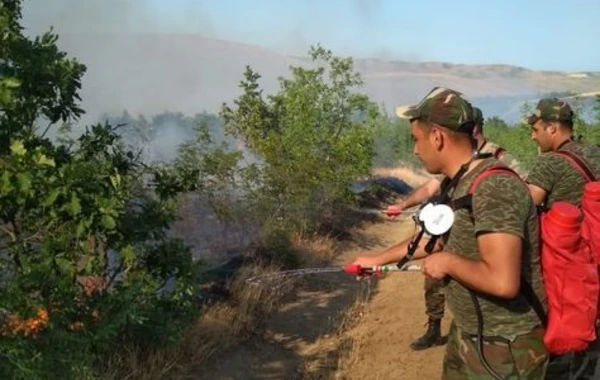 Nabran yaxınlığındakı yanğına helikopter və 26 texnika cəlb edildi – FOTO/ VİDEO