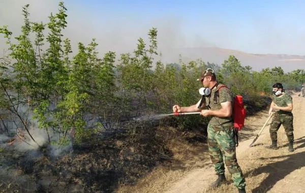 Nabran yaxınlığındakı yanğına helikopter və 26 texnika cəlb edildi – FOTO/ VİDEO