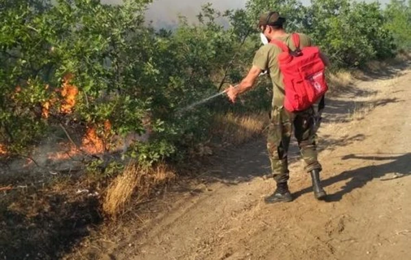 Nabran yaxınlığındakı yanğına helikopter və 26 texnika cəlb edildi – FOTO/ VİDEO