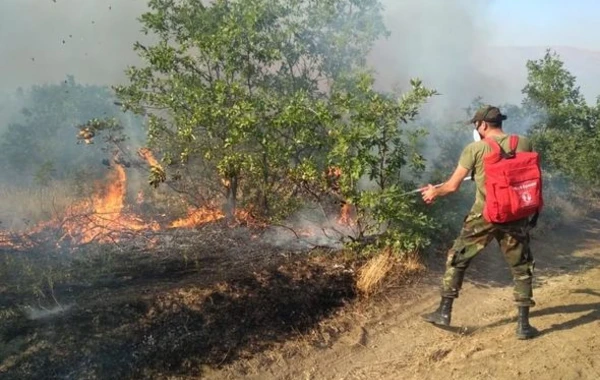 Nabran yaxınlığındakı yanğına helikopter və 26 texnika cəlb edildi – FOTO/ VİDEO
