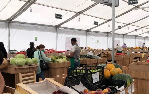 Bu ünvanlarda ucuz bazarlar olacaq - FOTO