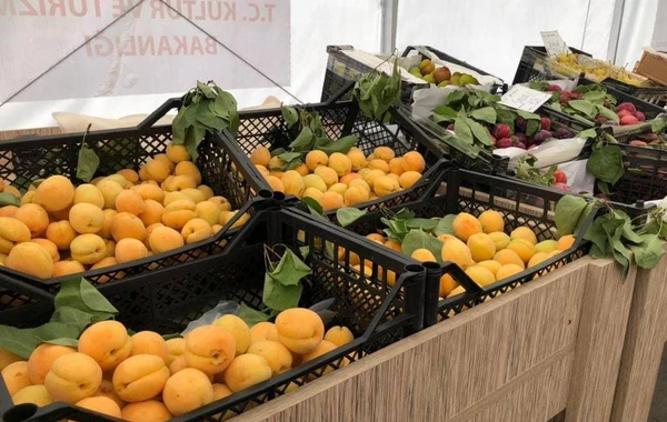 Həftəsonu bu ünvanlarda ucuz yarmarkalar keçiriləcək - FOTO