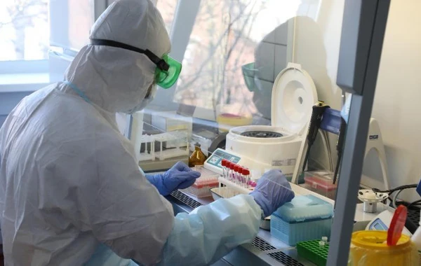 В Индии более 40 тысяч новых случаев заражения черной плесенью