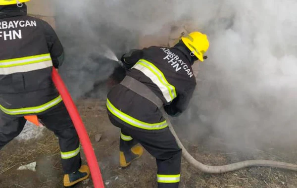 FHN: Ötən sutka 115 yanğın olub, 10 nəfər xilas edilib - VİDEO