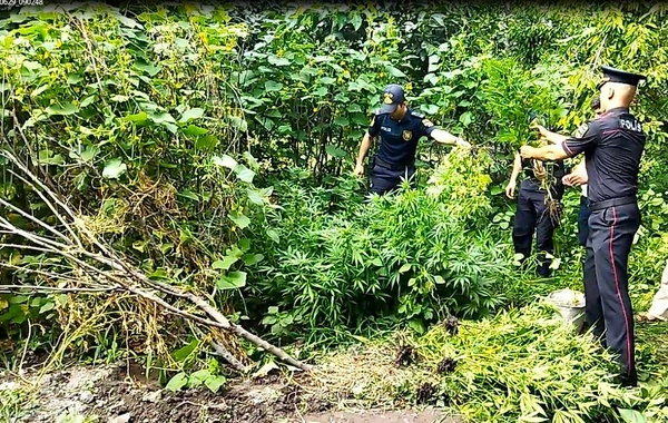 Azərbaycanda elektron qolbaq daşıyan şəxs narkotiklə tutuldu - FOTO