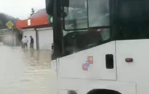 Опубликованы кадры потопа в Сочи: машины под водой, люди плавают по улицам - ВИДЕО
