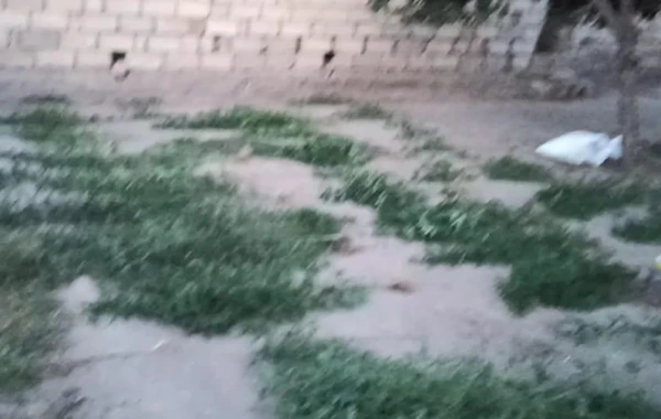 Bu şəxs "patı" satdığı üçün tutuldu - FOTO