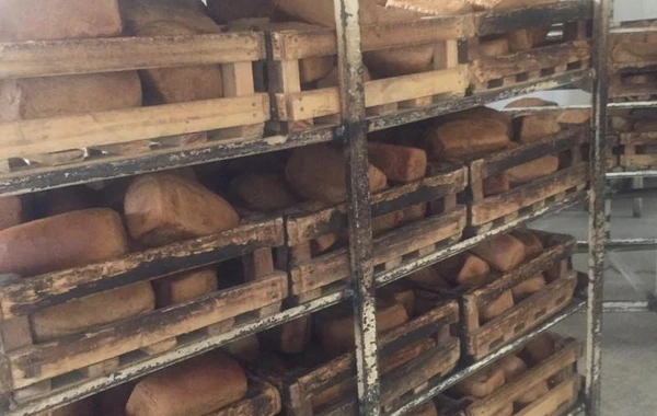 Bakıda çörək sexində xoşagəlməz vəziyyət - FOTO