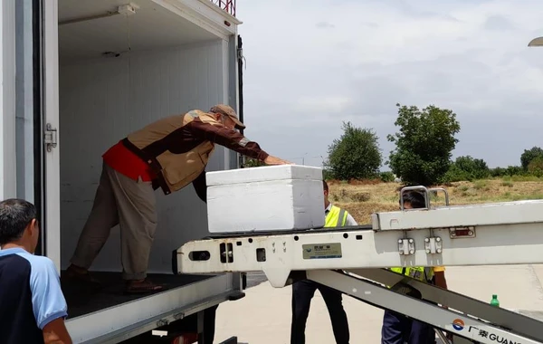 Azərbaycan Tacikistana 40 min doza vaksin göndərib - FOTO