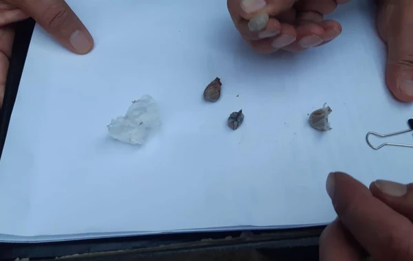 Polisdən daha bir “patı” əməliyyatı - Saxlanılanlar var - FOTO
