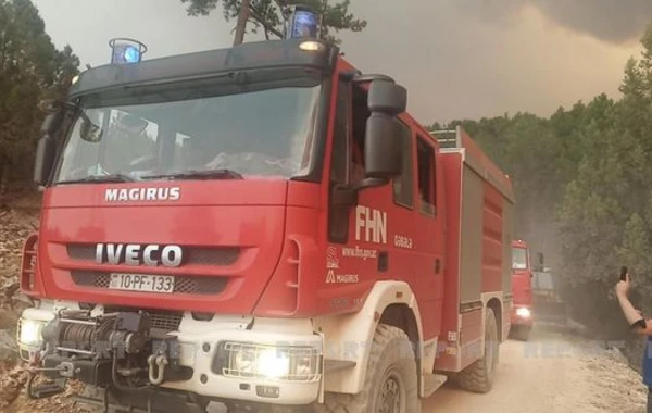 Азербайджанские спасатели тушат пожары в провинции Мугла - ФОТО