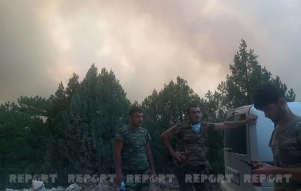 Азербайджанские спасатели тушат пожары в провинции Мугла - ФОТО