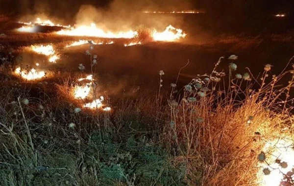 Вспыхнувший в горной местности в Агсу пожар подступает к лесу - ФОТО