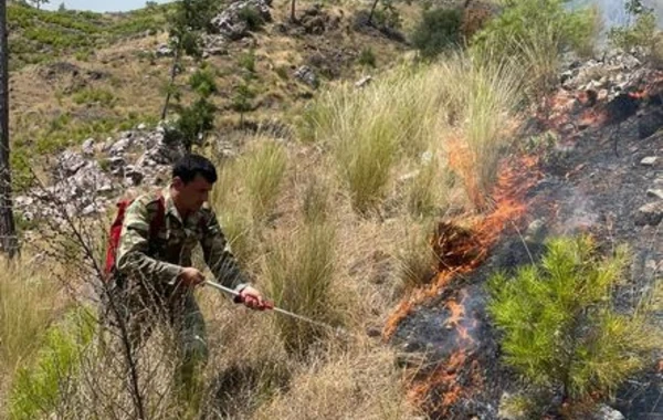 Türkiyədə yanğınla mübarizə aparan FHN əməkdaşlarının yeni görüntüləri - FOTO/VİDEO