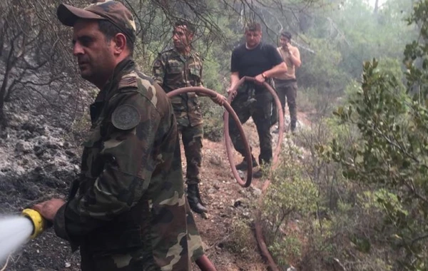 FHN generalı Süleyman Soylu və Bekir Pakdemirli ilə görüşdü - FOTO/ VİDEO