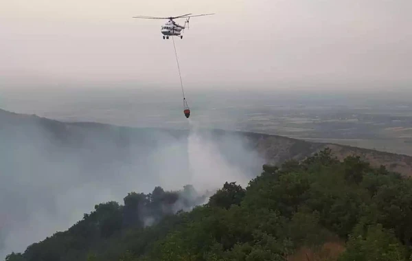 FHN Quba və Qəbələdə meşədə baş verən yanğınlarla bağlı məlumat yaydı