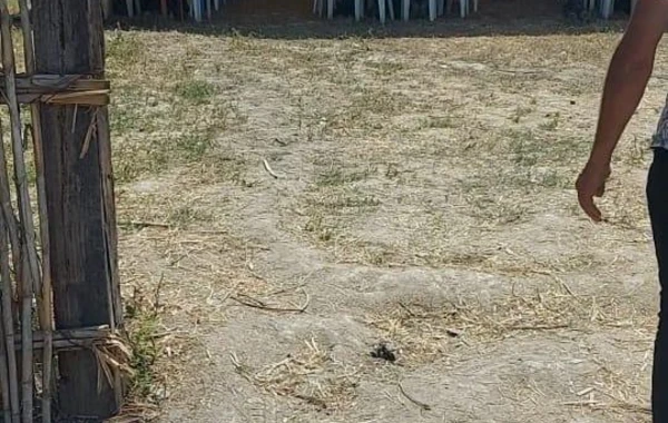 4 şadlıq sarayının icarədarı və 11 toy sahibi cərimələnib - FOTO