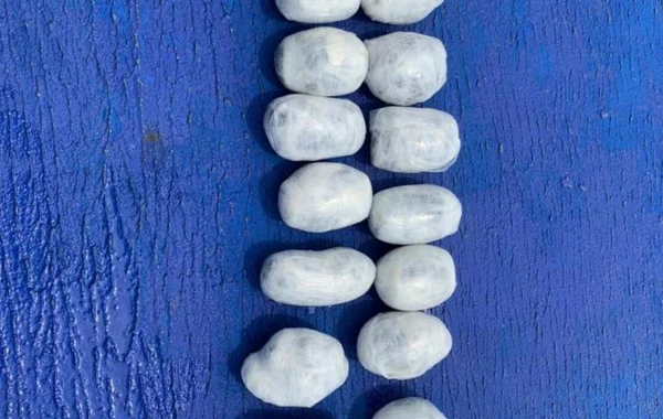 Sərhədçilər 21 kq-dan artıq narkotik vasitə aşkarlayıb - FOTO