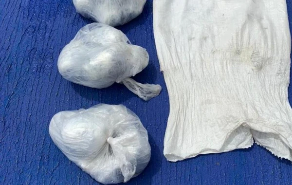 Sərhədçilər 21 kq-dan artıq narkotik vasitə aşkarlayıb - FOTO