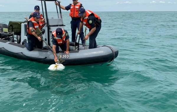 Sərhədçilər 21 kq-dan artıq narkotik vasitə aşkarlayıb - FOTO