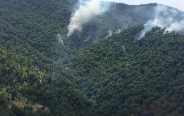 Qəbələdə yanğının söndürülməsinə helikopter cəlb olunub - YENİLƏNİB