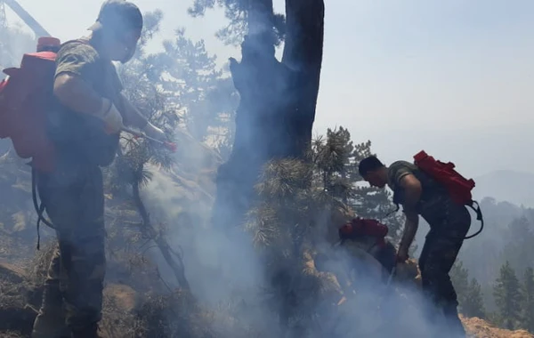 FHN qüvvələri Türkiyədə ötən sutkada yanğın olan əraziyə 130 tondan su töküb - VİDEO/ FOTO