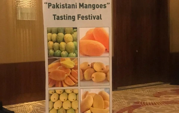 Pakistan Azərbaycana manqo ixrac edəcək - FOTO
