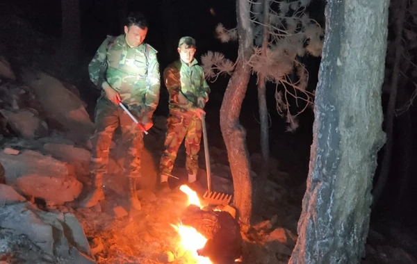 FHN qüvvələrinin fəaliyyət göstərdiyi Muğlada meşə yanğınları tam söndürülüb - VİDEO