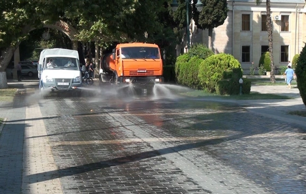 Tovuzda dezinfeksiya işlərinə başlanıldı - FOTO