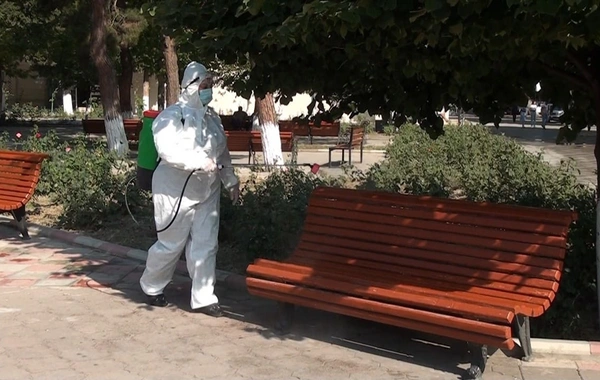 Tovuzda dezinfeksiya işlərinə başlanıldı - FOTO