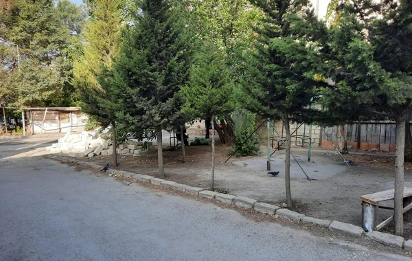 Bakıda ağacların kəsilərək tikinti aparılmasının qarşısı alınıb - FOTO
