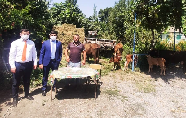 Unibank şəhid ailələrinə dəstək olub