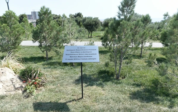 İlham Əliyev və Mehriban Əliyeva “Gənclik” parkının açılışında iştirak ediblər - YENİLƏNİB - FOTO