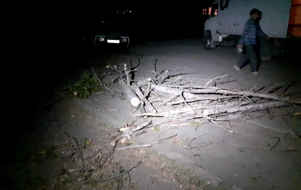 Gəncədə güclü külək bir sıra fəsadlara yol açdı - FOTO