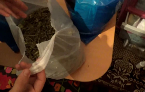 Narkotacirin evindən 14 kiloqramdan çox marixuana götürüldü - FOTO/VİDEO