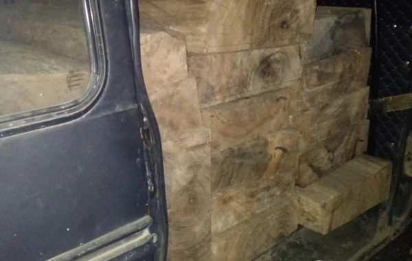 Qanunsuz meşə materialları daşıyanlar saxlanıldı - FOTO