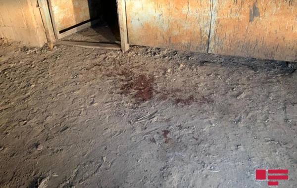 Bakıda iki qardaş bıçaqlanıb, biri sonradan ölüb - FOTO/VİDEO - YENİLƏNİB