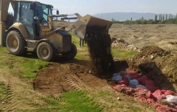 Rusiyanın Azərbaycana ixrac etdiyi 60 ton kartofda zərərverici aşkar edildi - FOTO