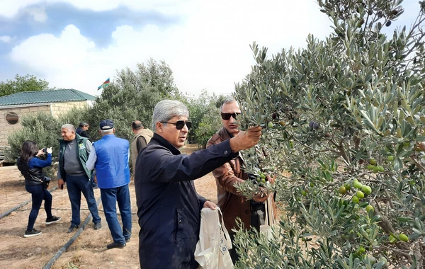 Nazirlik media ilə birgə yeni layihəyə start verdi - FOTO