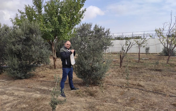Nazirlik media ilə birgə yeni layihəyə start verdi - FOTO
