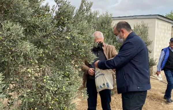Nazirlik media ilə birgə yeni layihəyə start verdi - FOTO